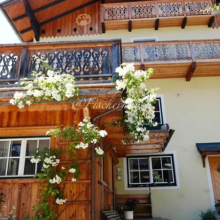 Daire Fischerhaus Sankt Wolfgang 2 *